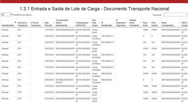 1.3.1 ENTRADA E SAÍDA DE LOTE DE CARGA - DOCUMENTO TRANSPORTE NACIONAL LAYOUT